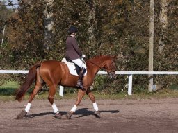 IMG_7770_web